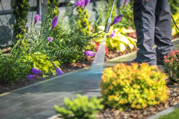 Winterizing Services in Ama, LA